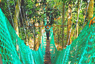 Hanging Bridge