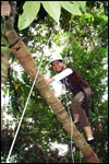 High Ropes Course - Inclined Log