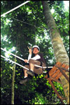 High Ropes Course - Kitten Crawl