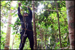 High Ropes Course - Net Traverse