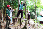 Low Ropes Course - Tree Traverse